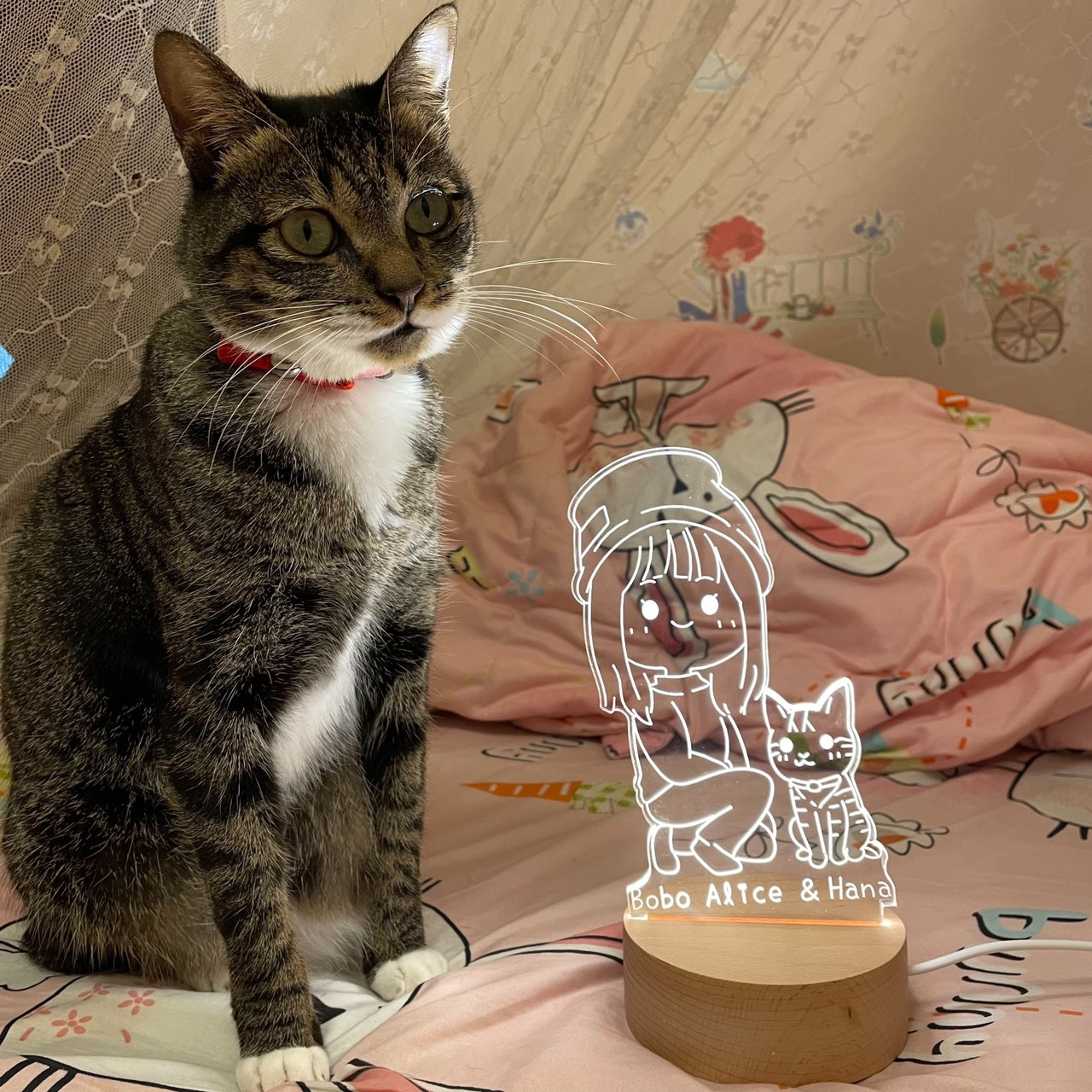 客製化寵物夜燈實拍｜蠟筆風線條貓咪陪伴夜燈｜毛小孩紀念禮物｜MiniGarden