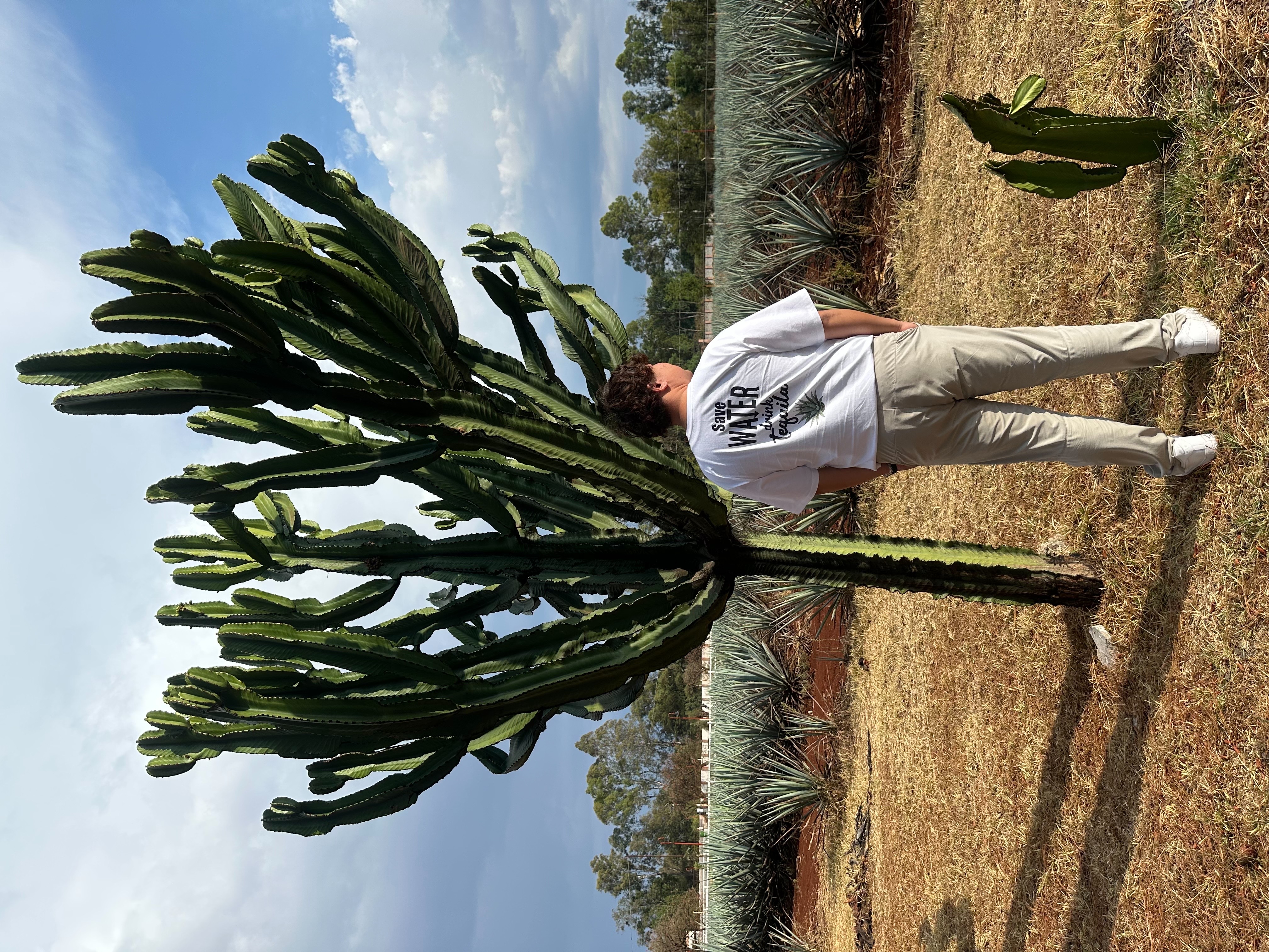 高精度 DTF 印刷技術，龍舌蘭協會 LOGO 潮流設計細節近拍